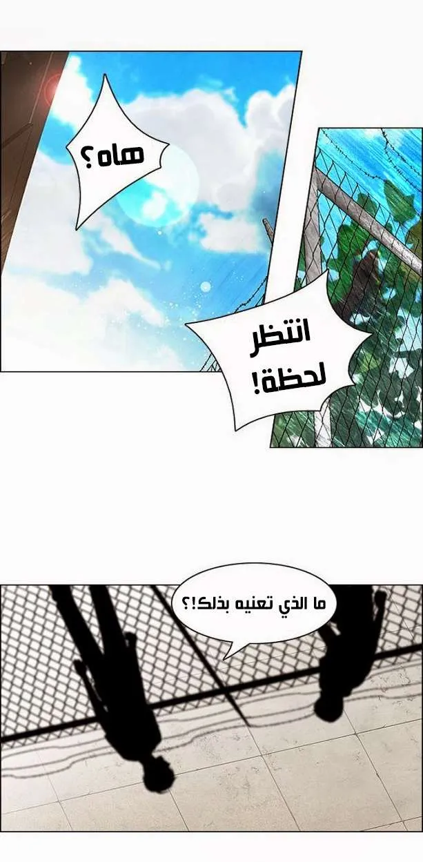 الصفحة 32 من 38