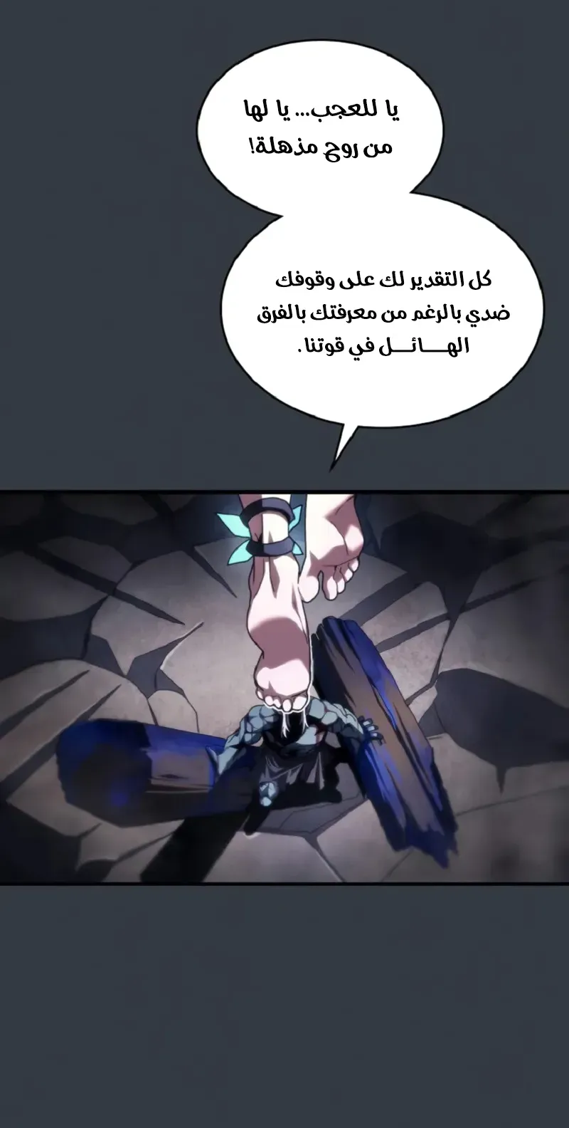 الصفحة 5 من 80