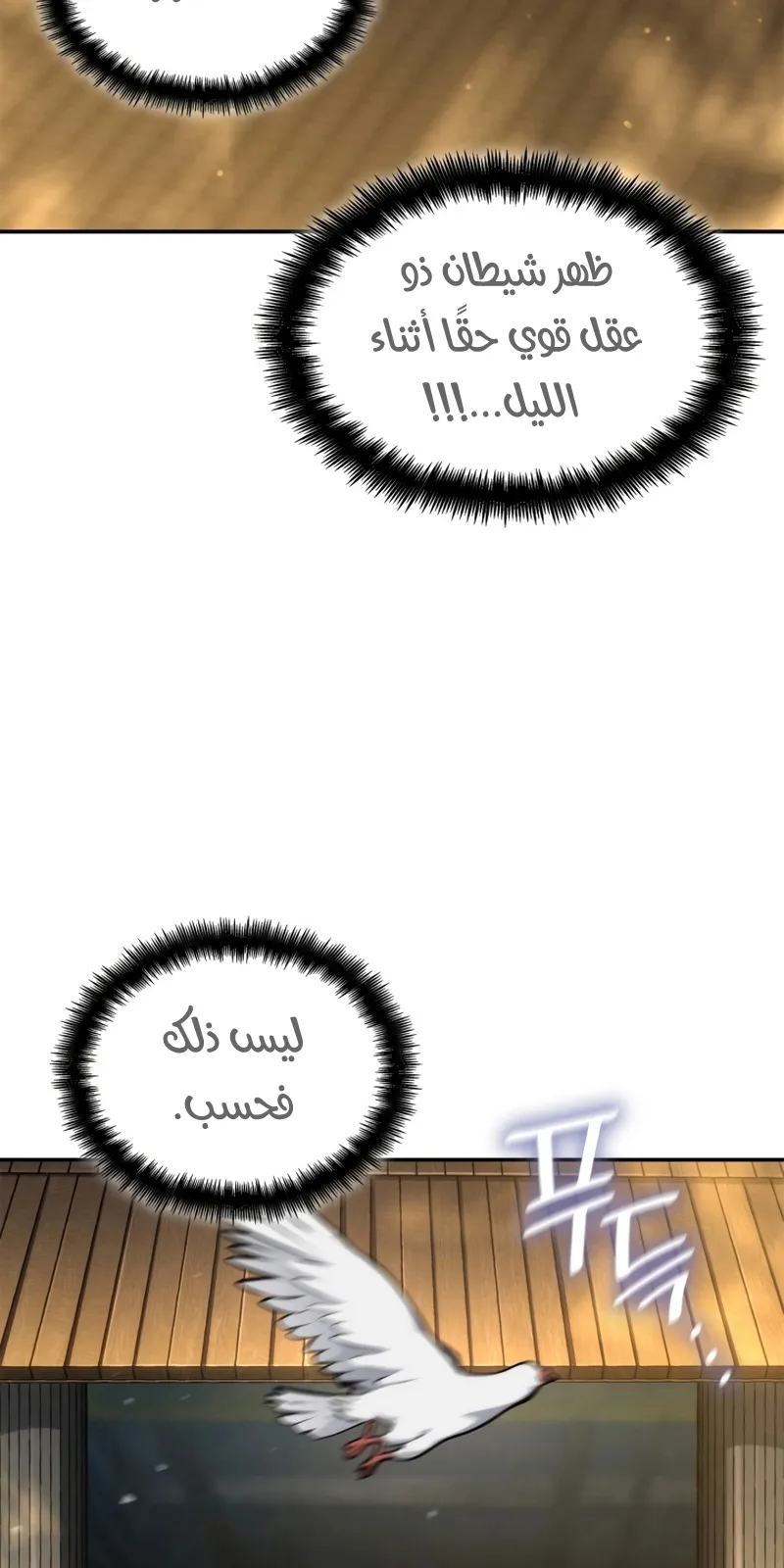 الصفحة 102 من 113