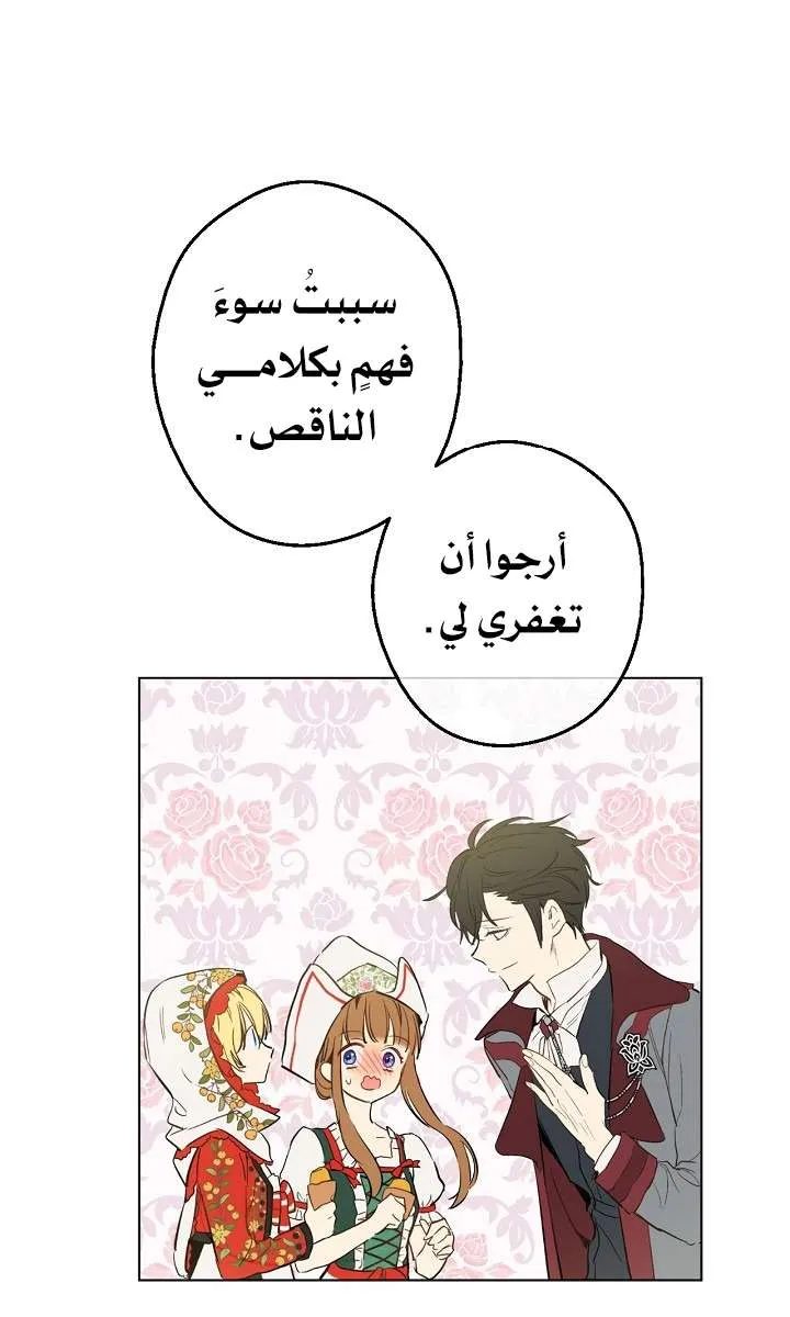 الصفحة 36 من 71