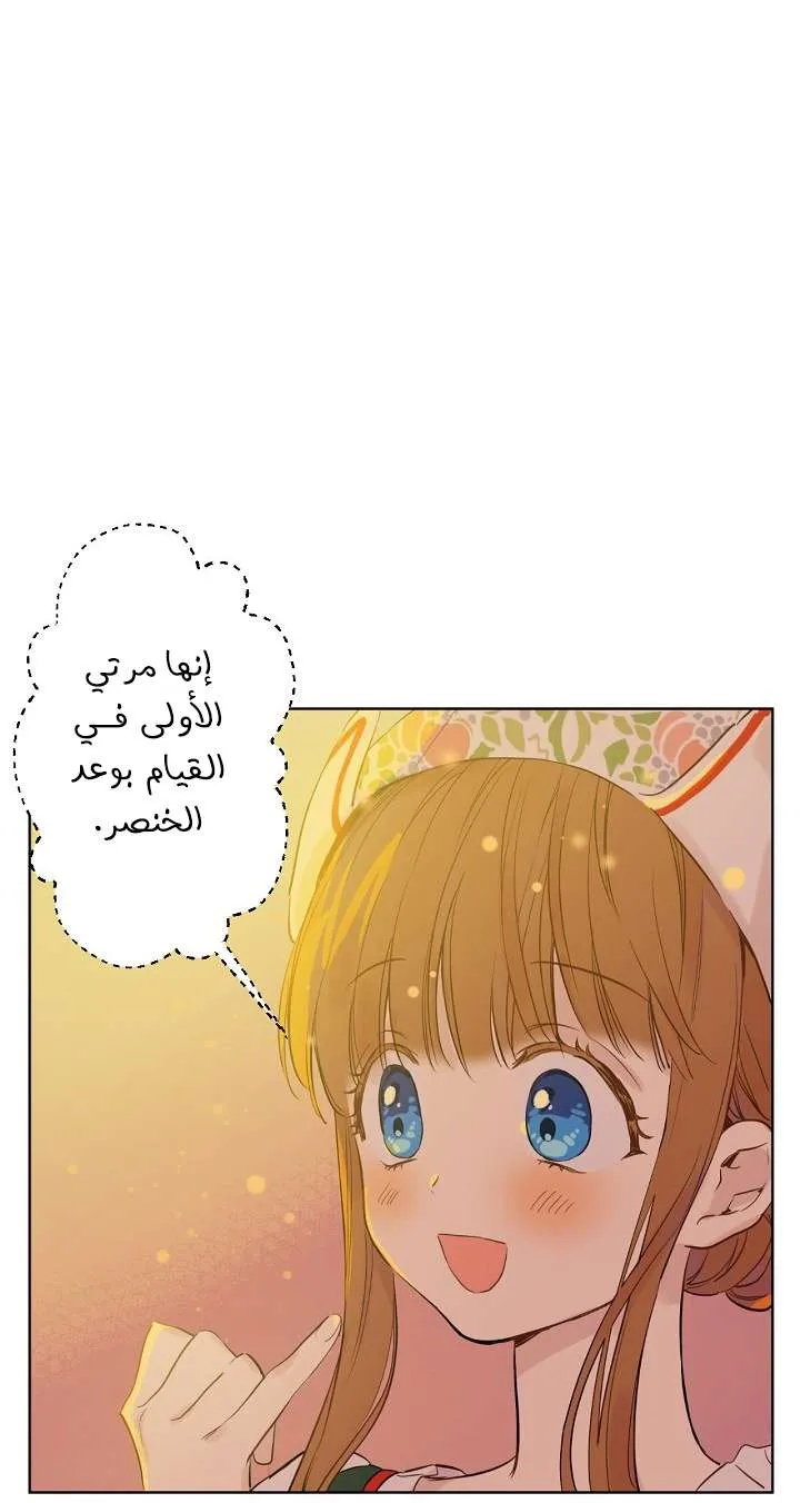 الصفحة 57 من 71