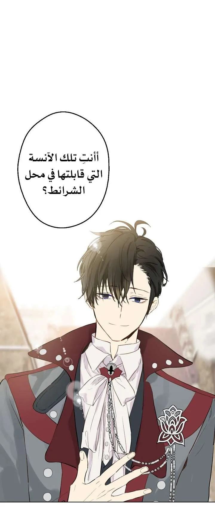 الصفحة 24 من 71