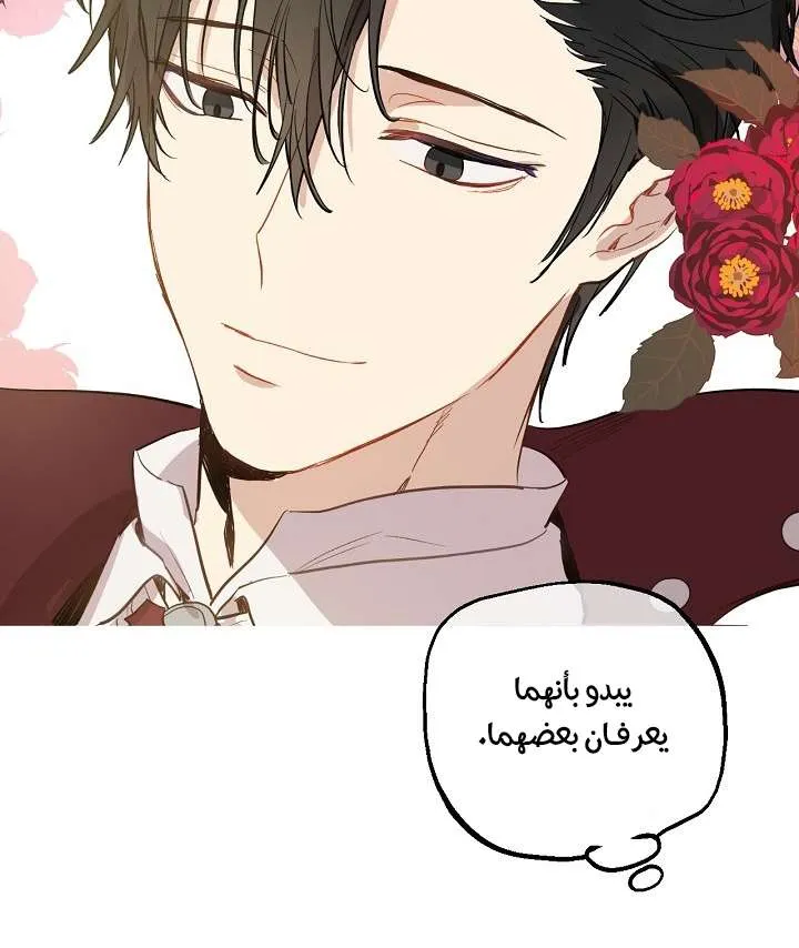 الصفحة 28 من 71