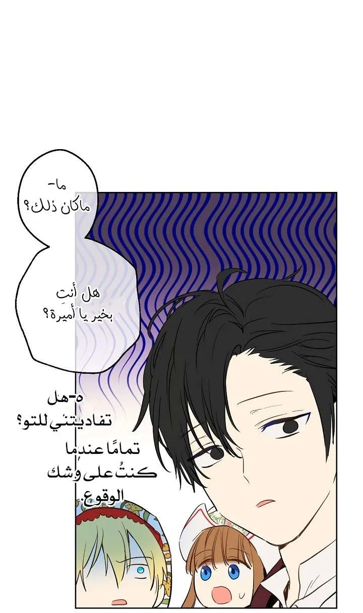 الصفحة 43 من 71