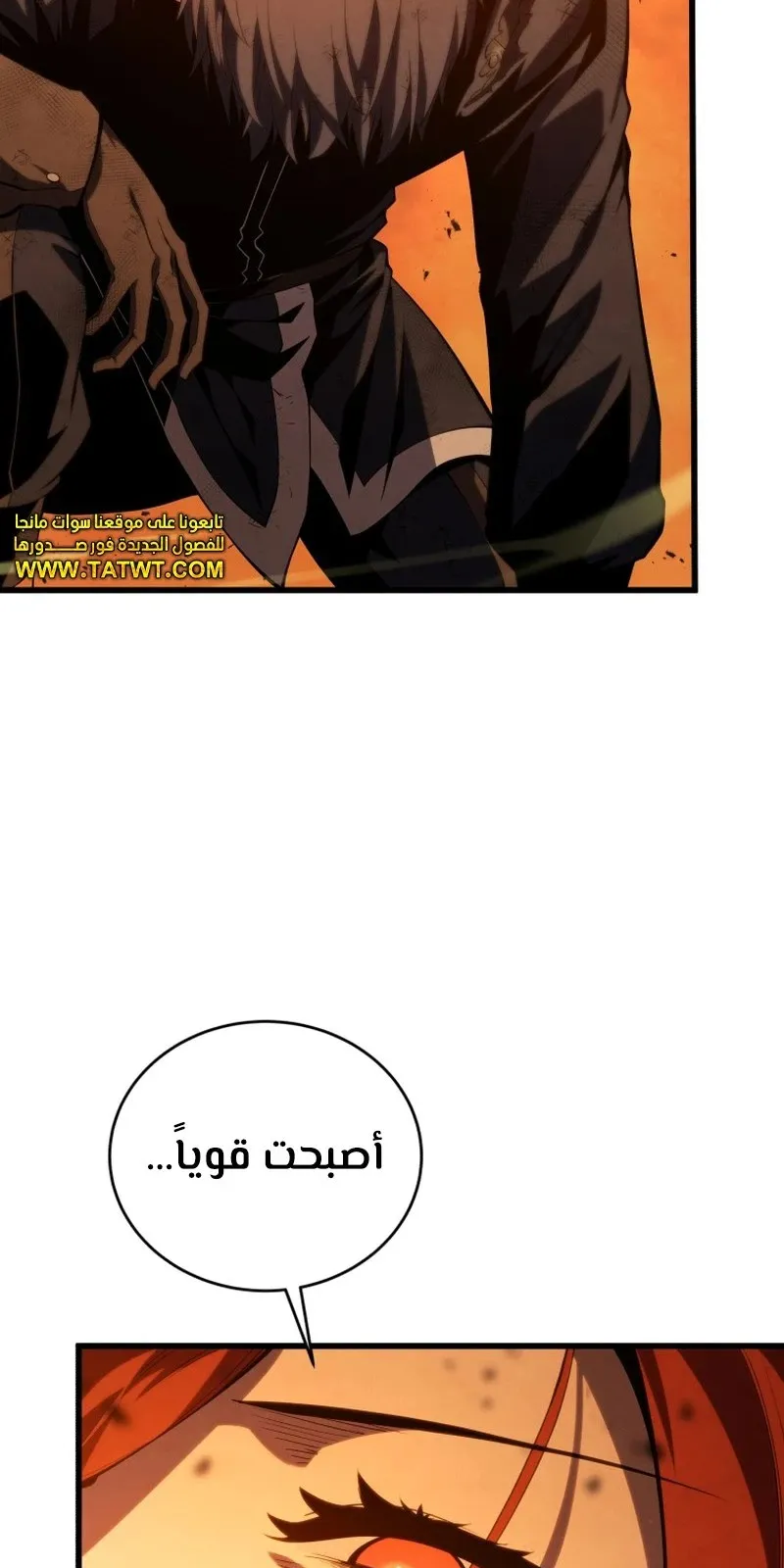 الصفحة 5 من 146