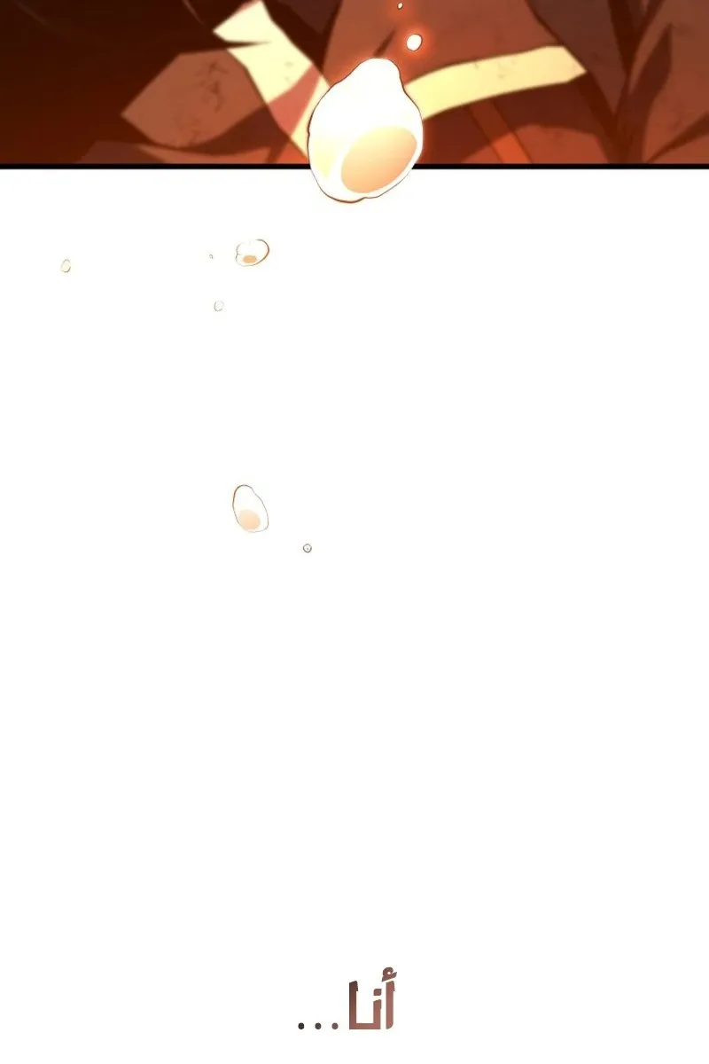 الصفحة 25 من 146