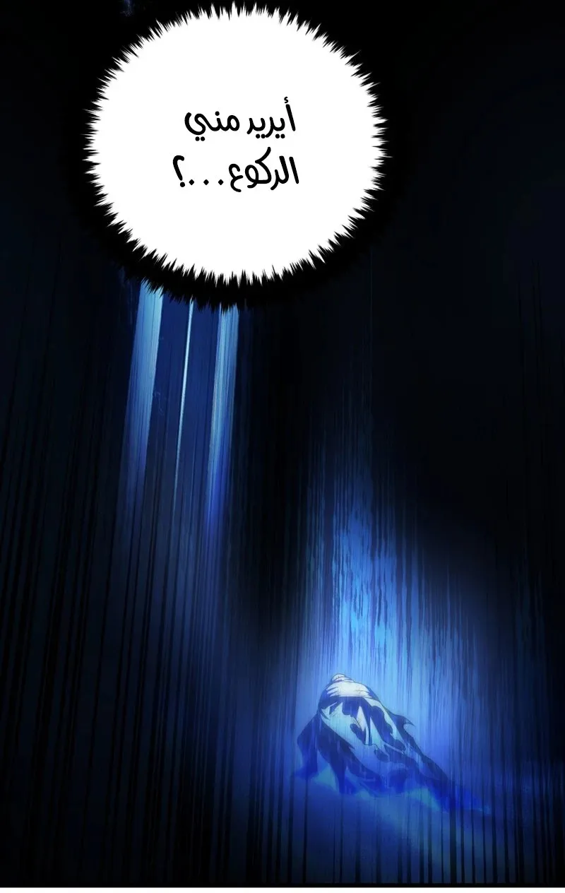 الصفحة 54 من 146