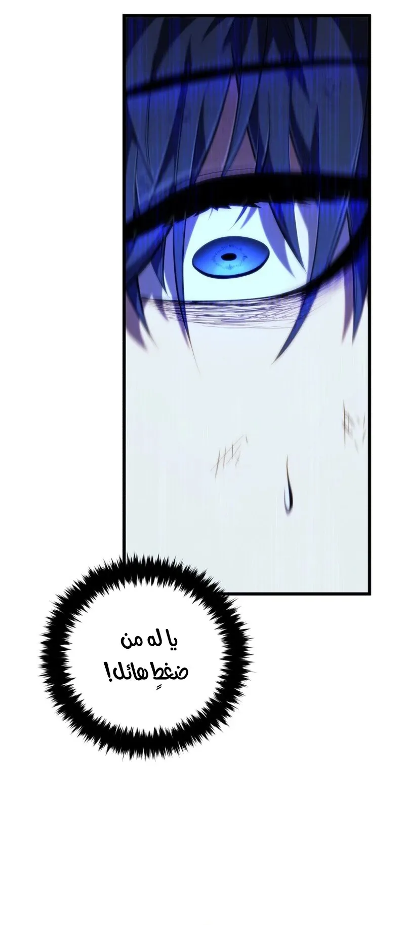 الصفحة 49 من 146