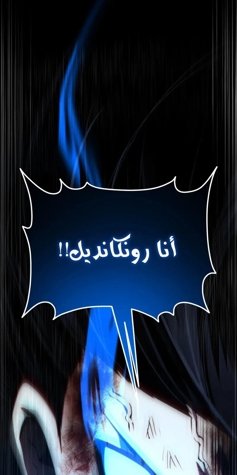 الصفحة 133 من 146