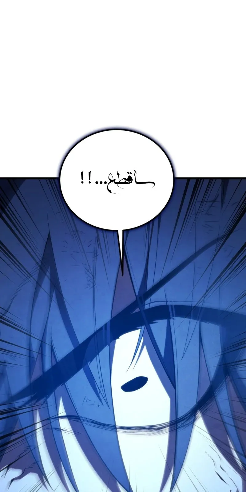 الصفحة 81 من 146