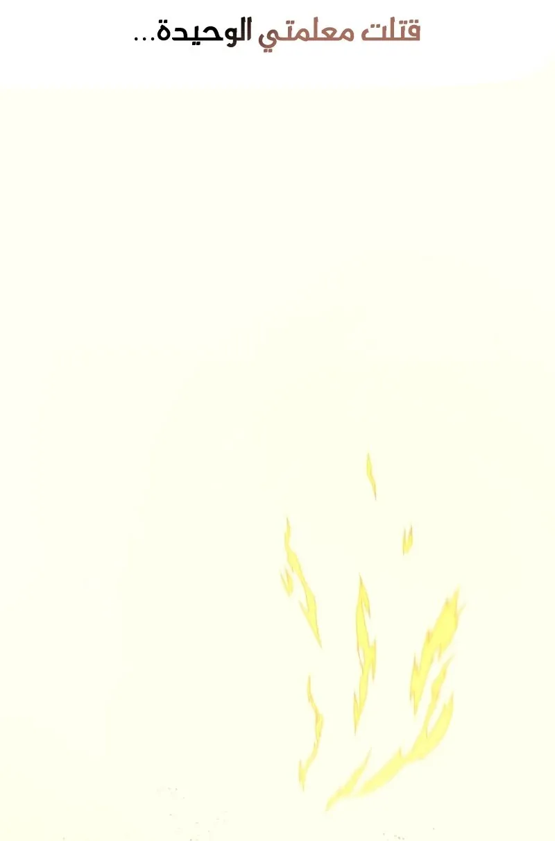 الصفحة 27 من 146