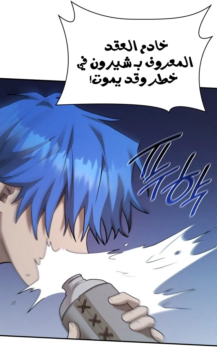 الصفحة 96 من 110