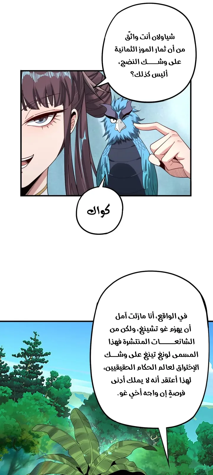 الصفحة 13 من 41