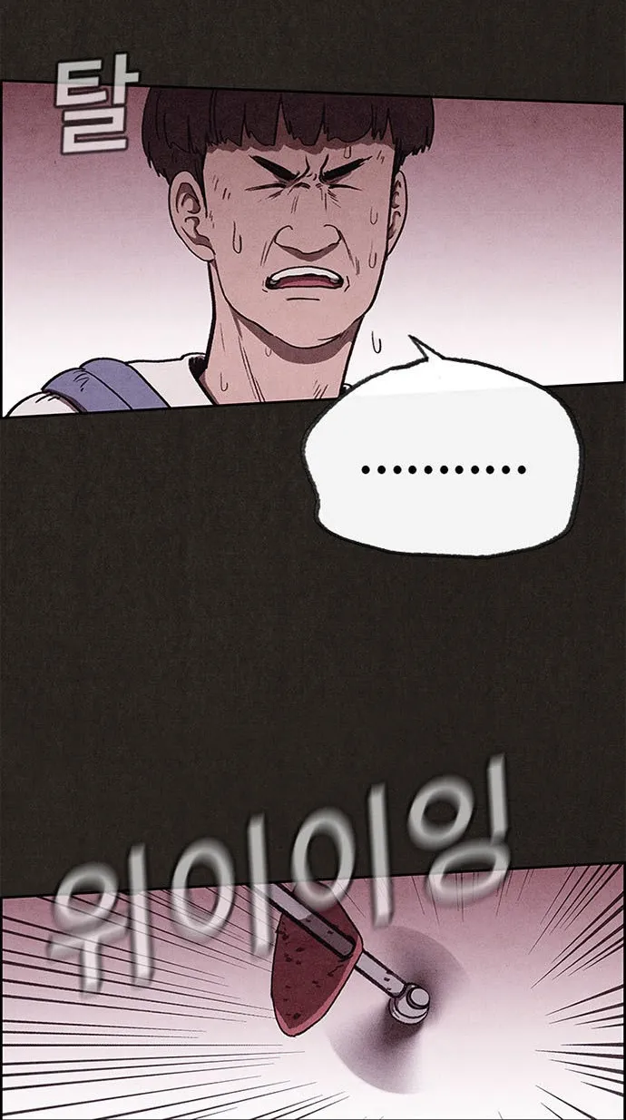 الصفحة 48 من 56