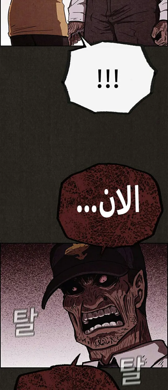 الصفحة 55 من 56