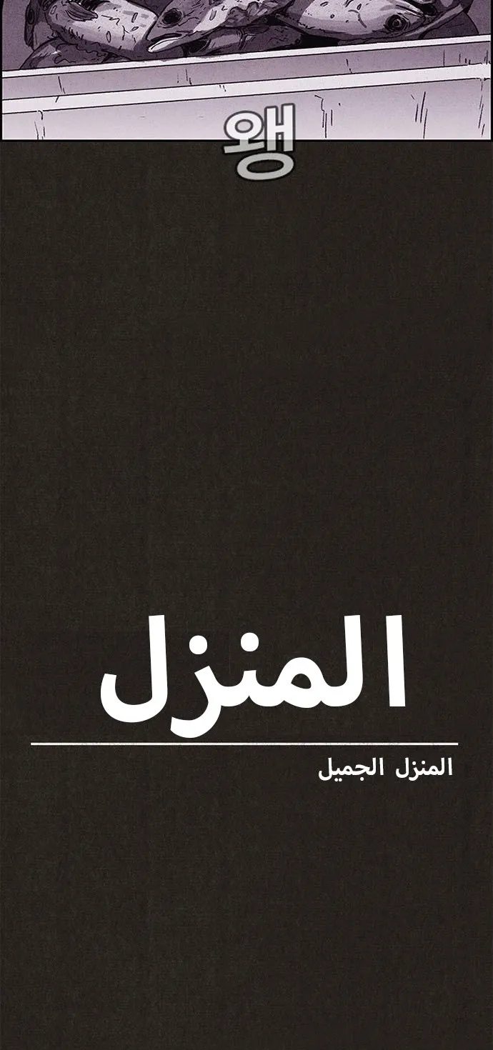 الصفحة 24 من 56