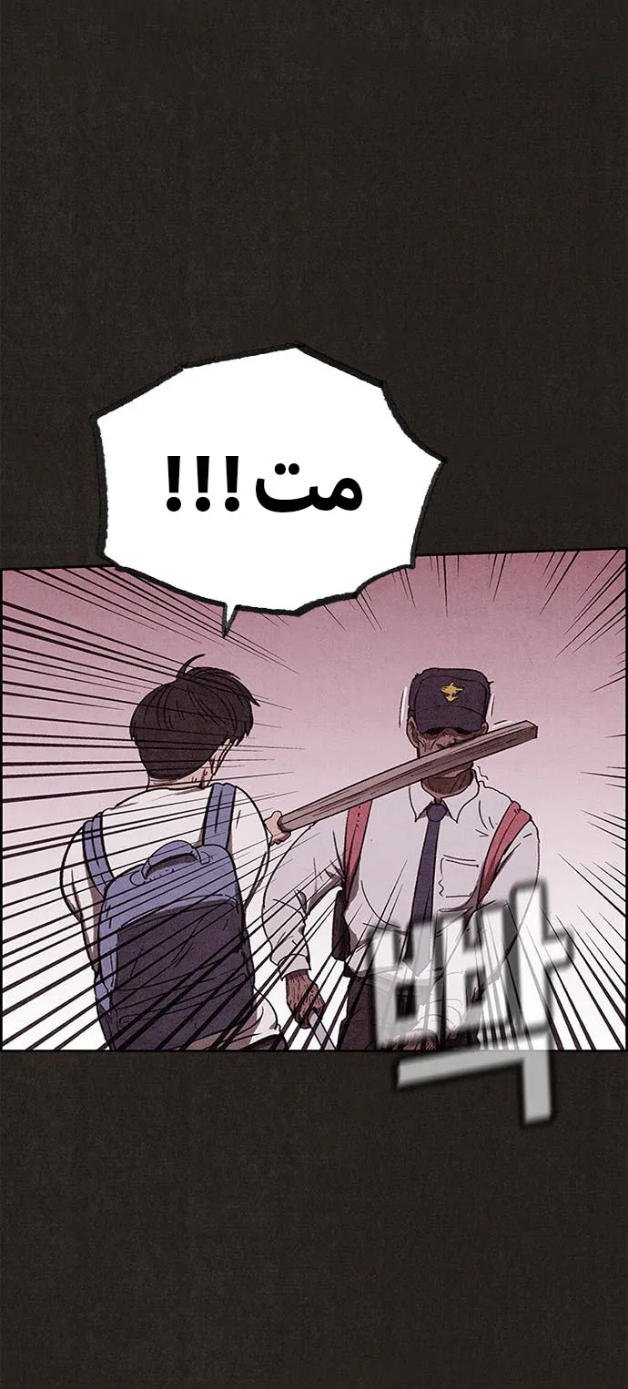 الصفحة 46 من 56