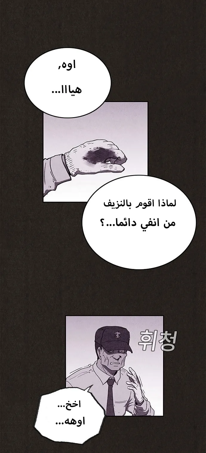 الصفحة 17 من 56