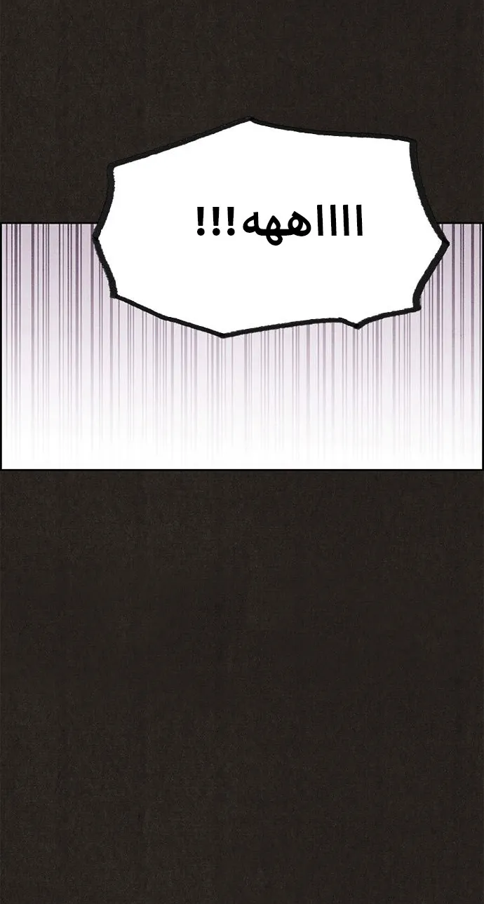 الصفحة 38 من 56