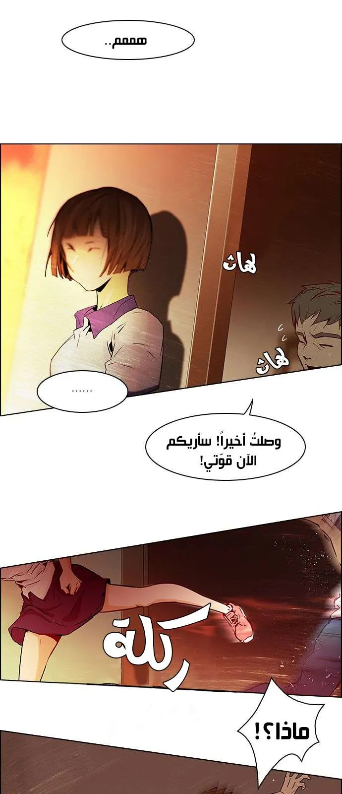 الصفحة 26 من 42
