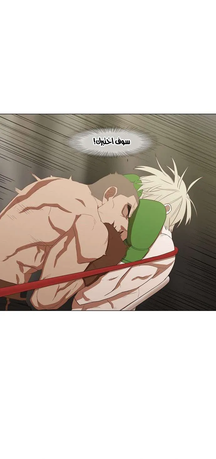 الصفحة 12 من 44