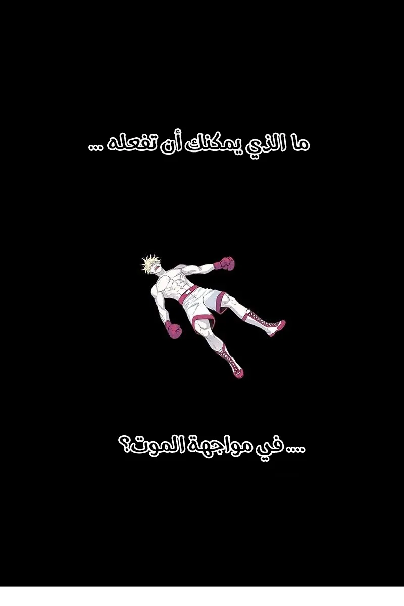 الصفحة 25 من 121