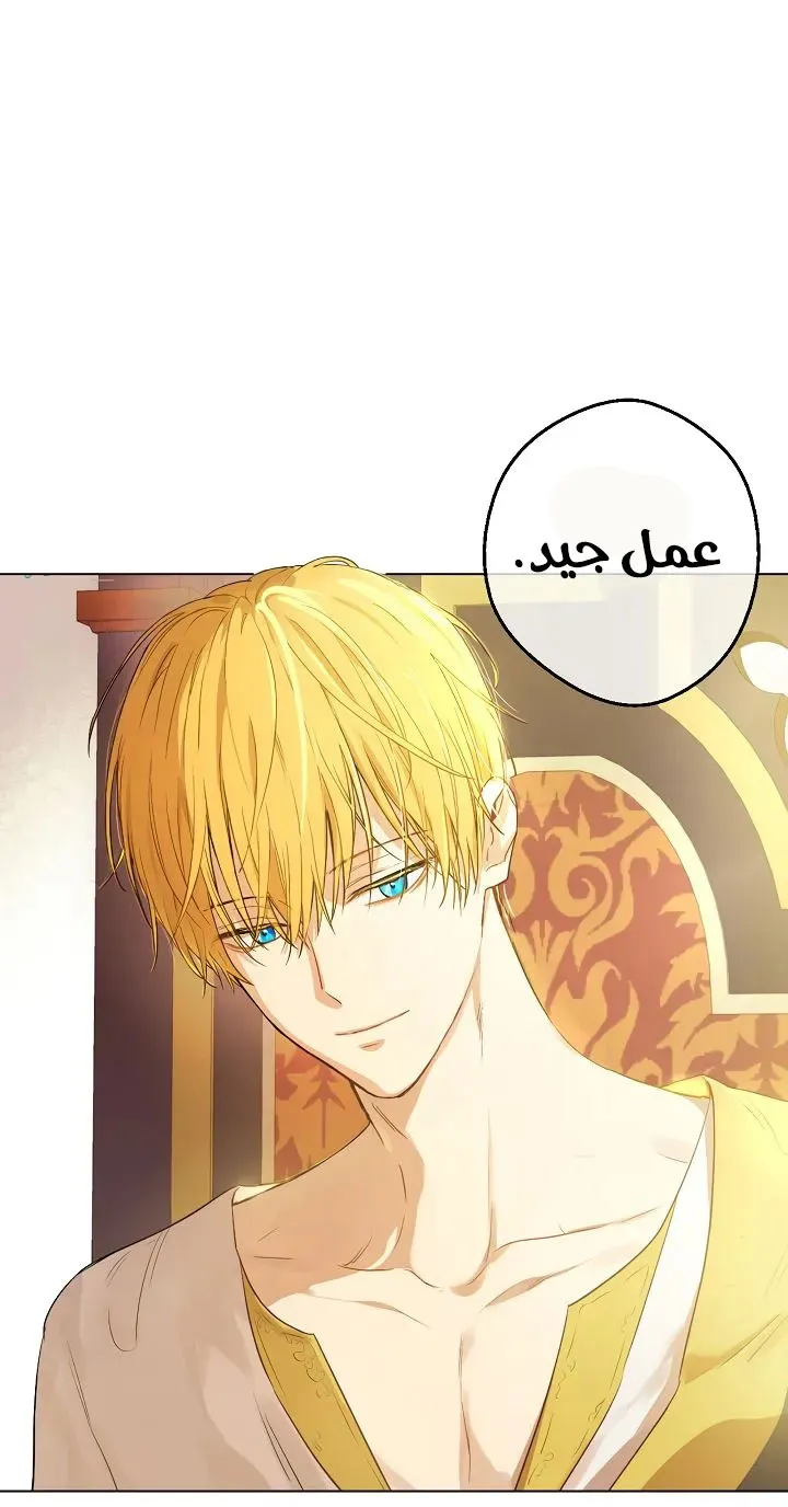 الصفحة 38 من 60