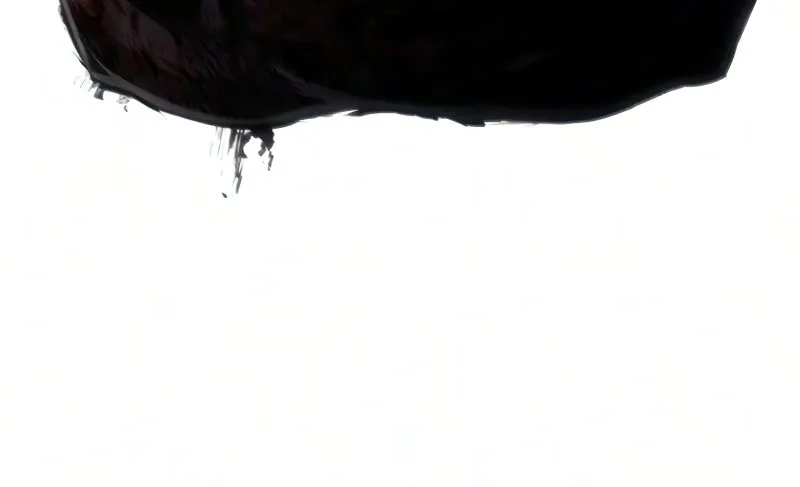 الصفحة 53 من 108