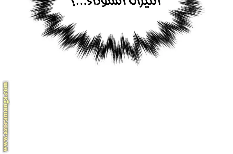 الصفحة 26 من 94