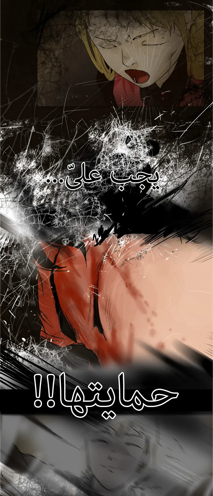 الصفحة 37 من 56