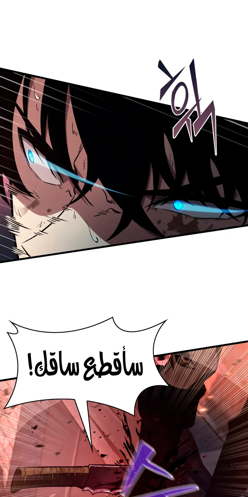 الصفحة 50 من 74