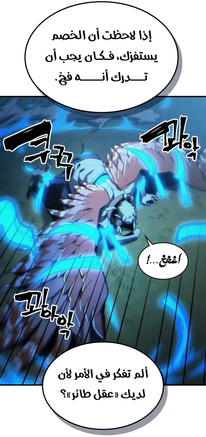 الصفحة 45 من 78