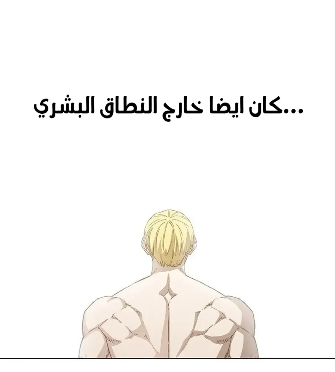 الصفحة 97 من 154