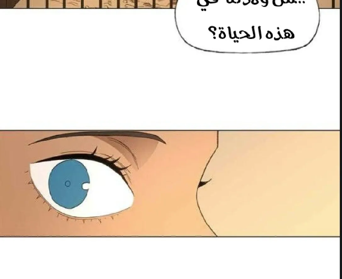 الصفحة 83 من 136
