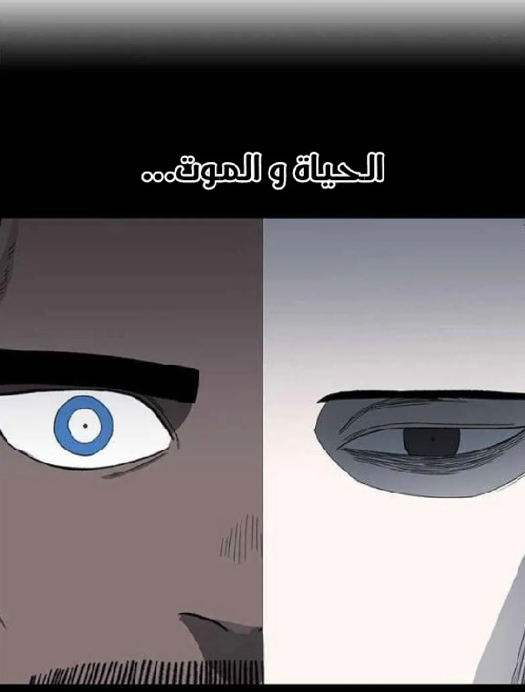 الصفحة 50 من 136