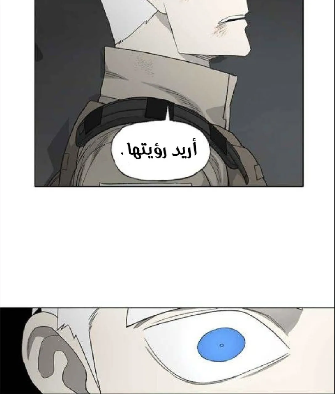 الصفحة 12 من 136