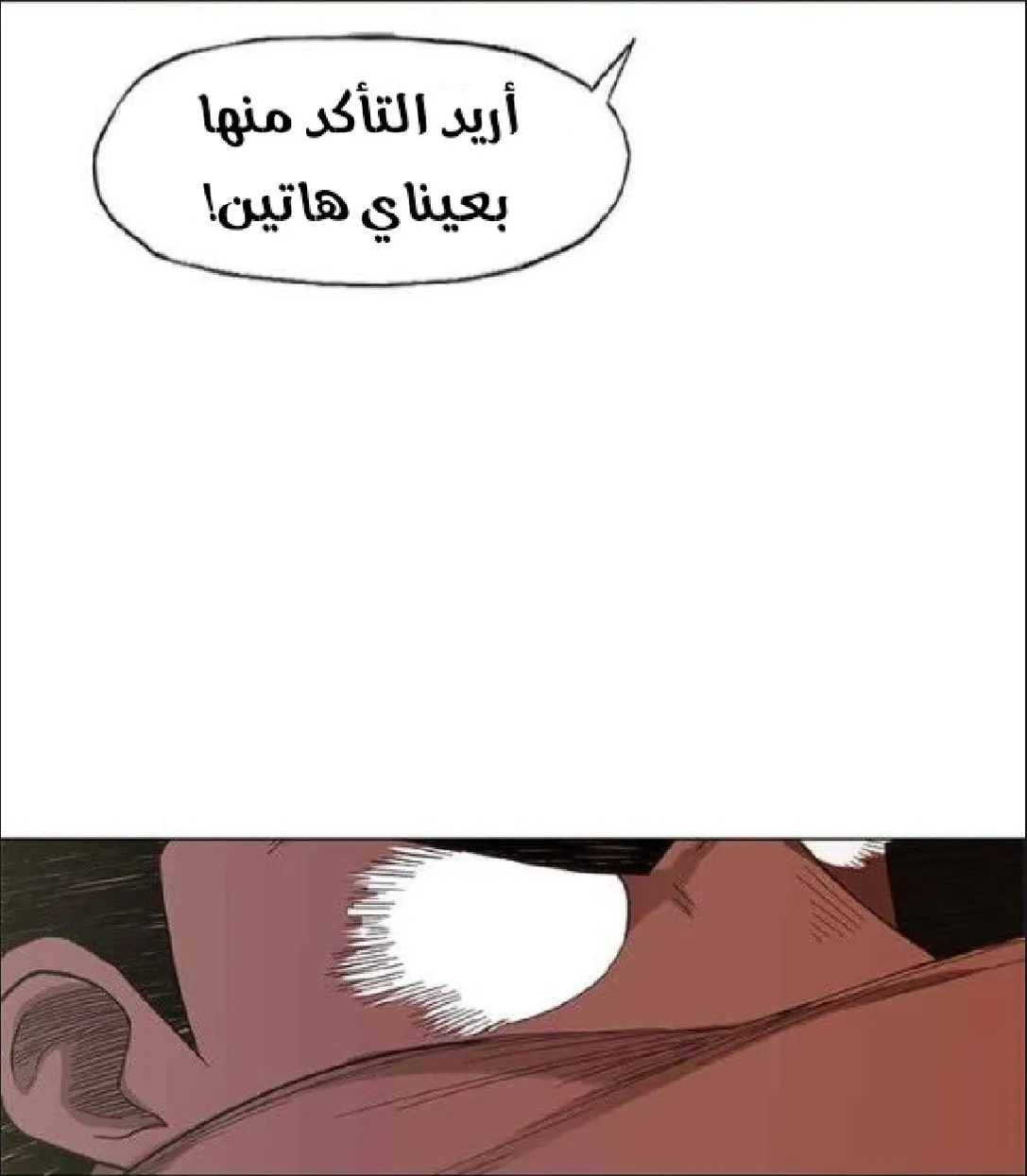 الصفحة 13 من 136