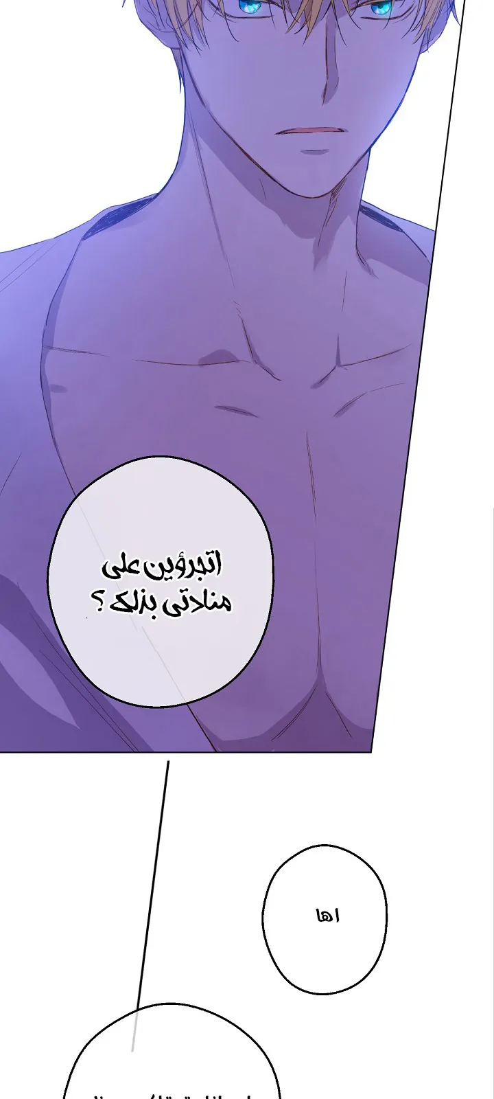 الصفحة 24 من 50