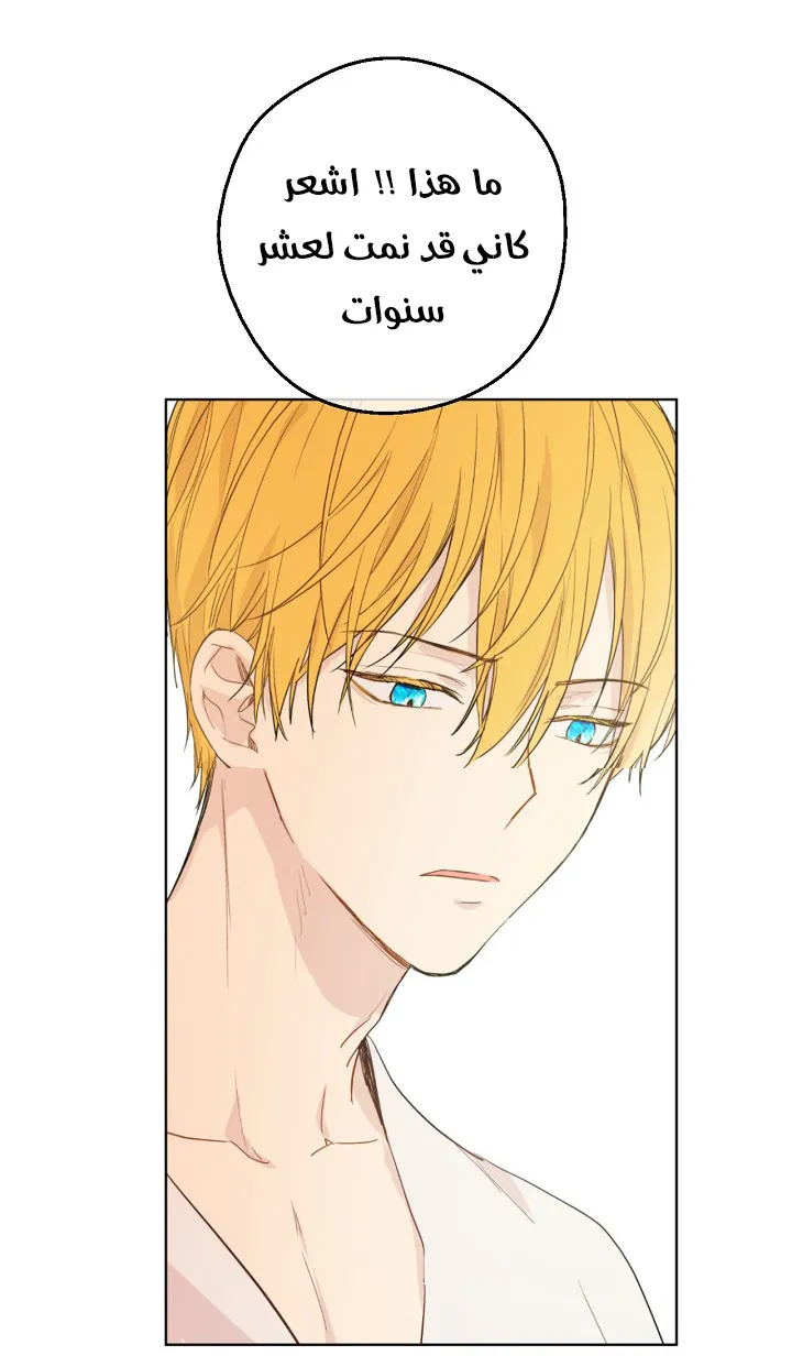 الصفحة 9 من 50