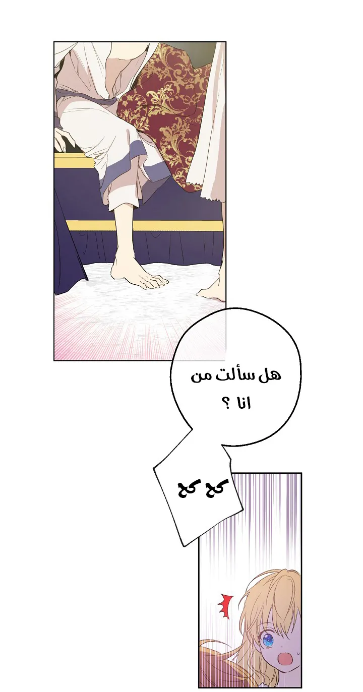 الصفحة 4 من 50
