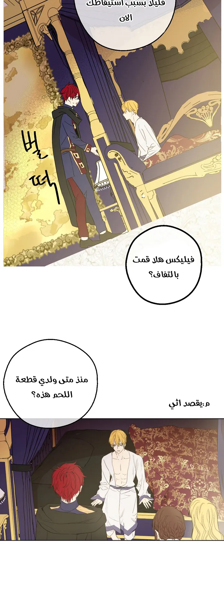الصفحة 21 من 50