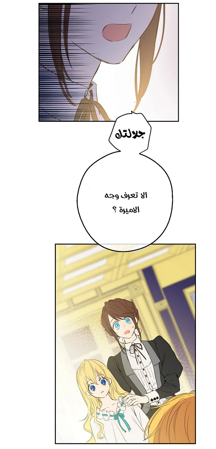 الصفحة 19 من 50