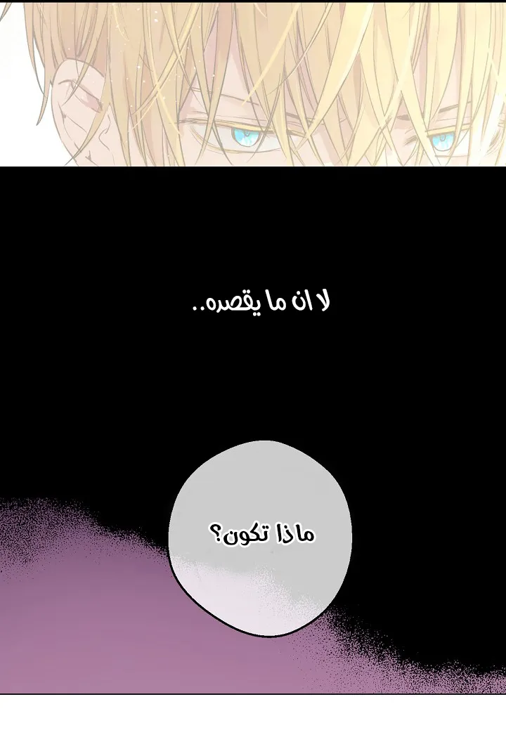 الصفحة 15 من 50