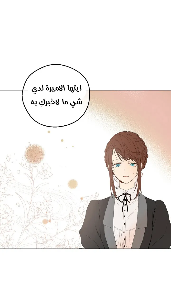 الصفحة 37 من 50