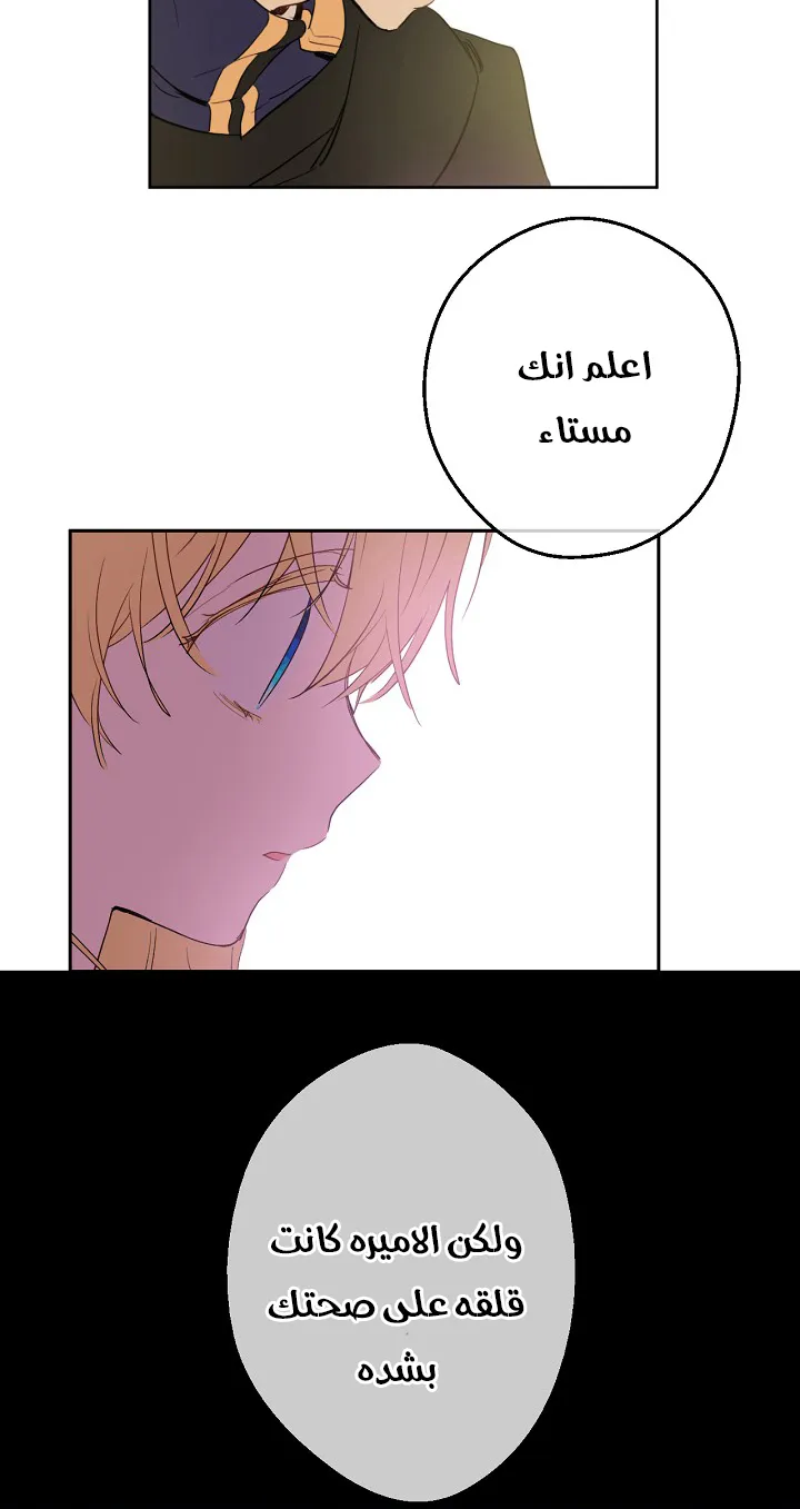 الصفحة 14 من 50