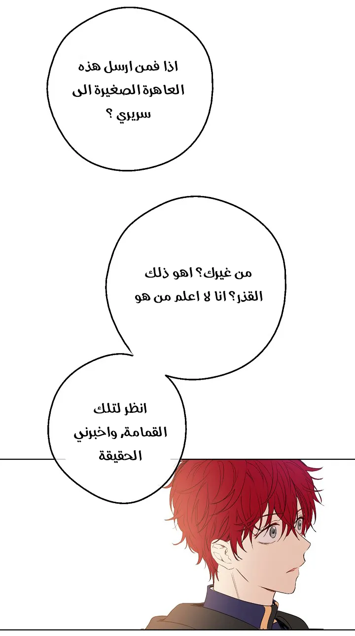 الصفحة 17 من 50