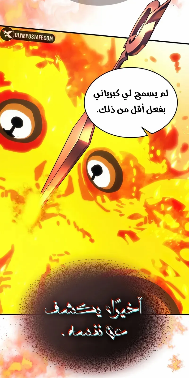 الصفحة 29 من 71