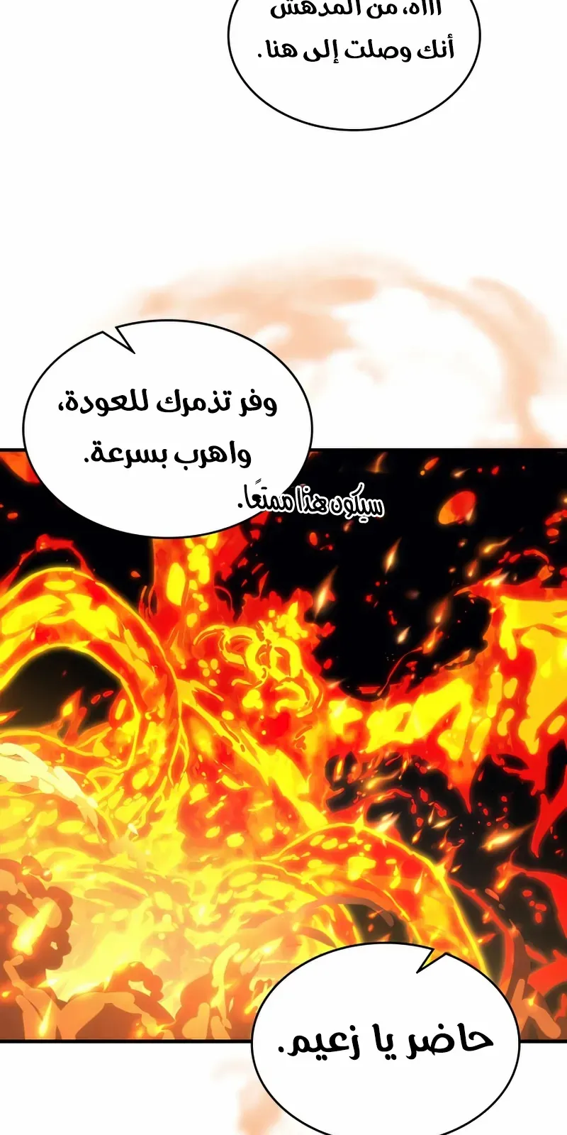 الصفحة 47 من 71