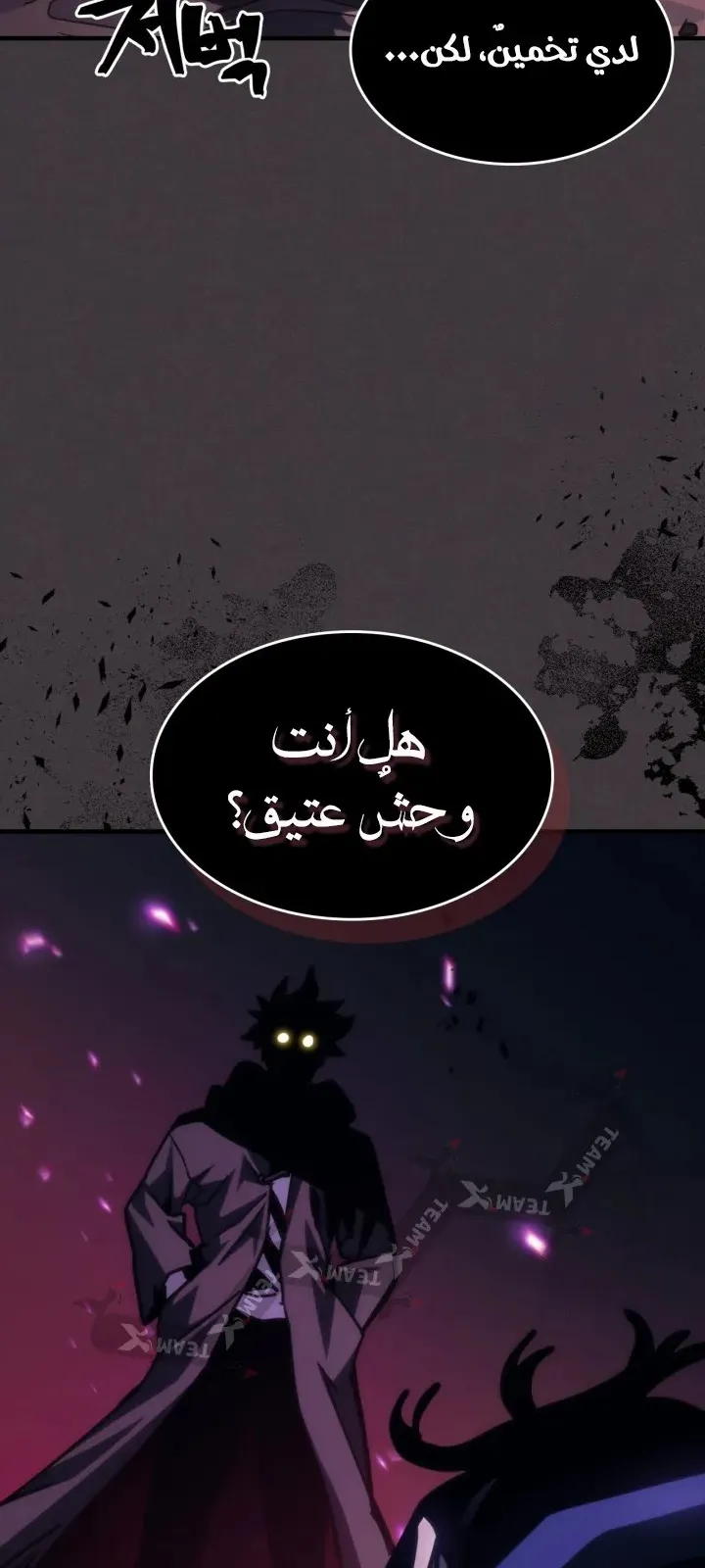 الصفحة 56 من 67