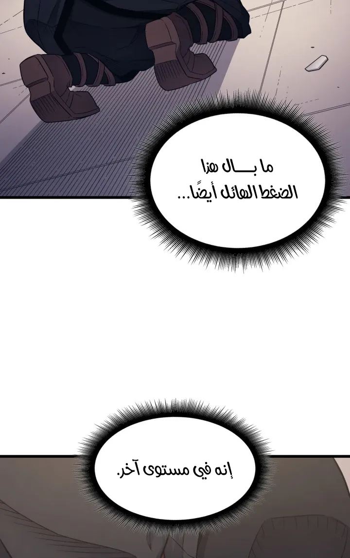 الصفحة 40 من 77